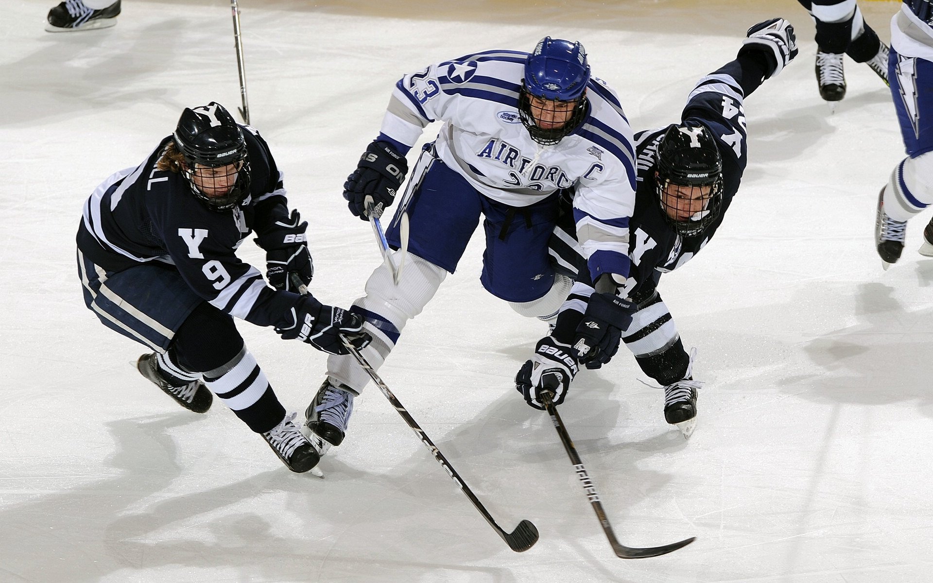 奇库诺娃稳健发挥刷新赛会纪录，库洛洛对奇犽爷爷