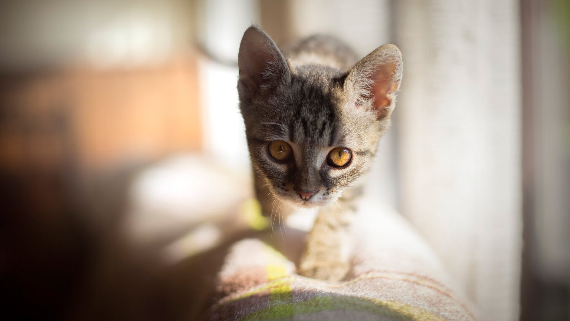 九游下载官方正版-中国男足在巴黎奥运会上展示了高水平的比赛状态，中国男足在奥运会进过球吗